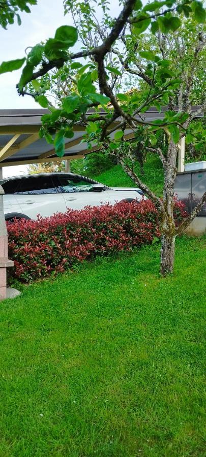 Apartma B & O Idrija Bagian luar foto