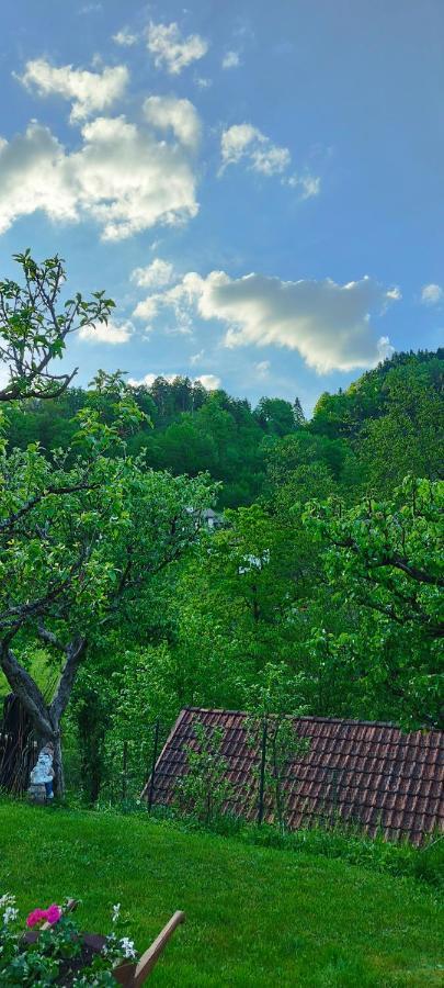 Apartma B & O Idrija Bagian luar foto