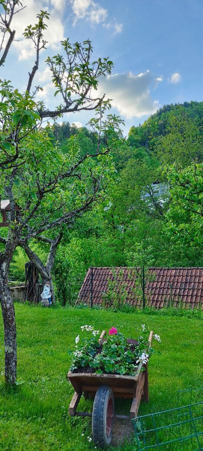 Apartma B & O Idrija Bagian luar foto