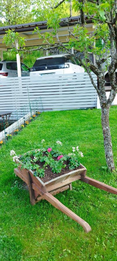 Apartma B & O Idrija Bagian luar foto